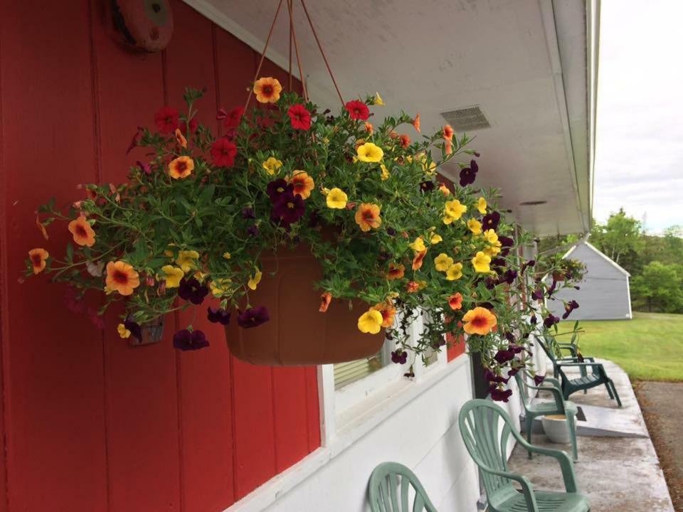 Webbers Lake Charlotte Motel Queen And Double Bed Exterior photo